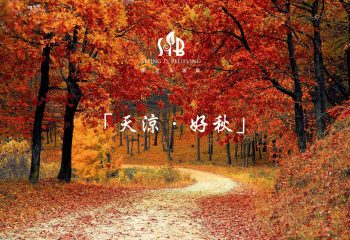 網頁 網頁
